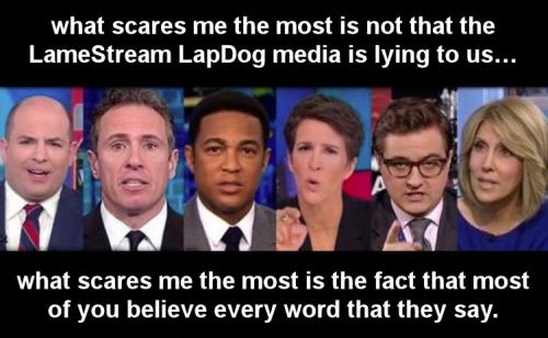 msm141