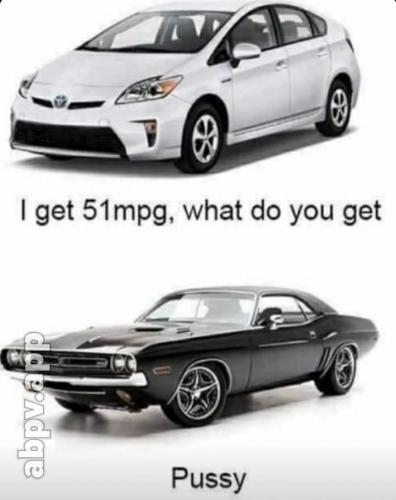 206656081_4420223721324076_6511174510972680634_n (1)