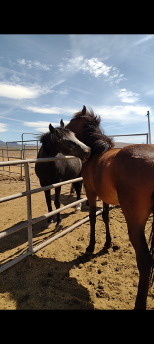 Screenshot_20210613-205017