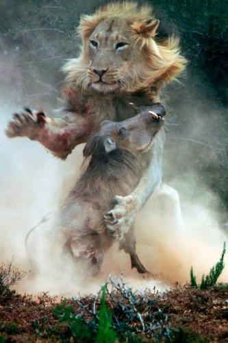 13939530_10205160800459791_1647534907454112409_n