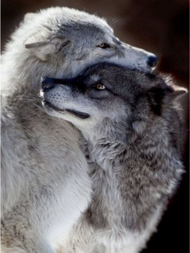 50e0a725a1f40af99eeb642e6f11e627