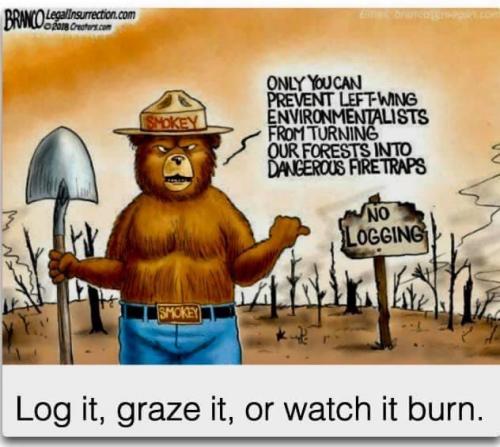 11:10:28 GMT-0400 (EDT).image