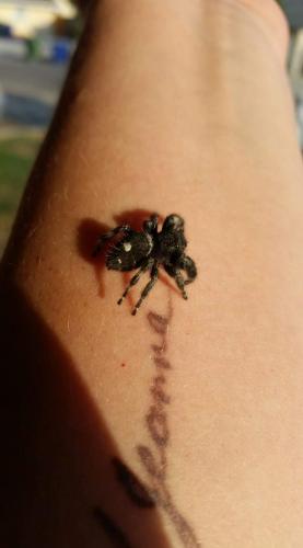 22:23:21 GMT-0700 (PDT)