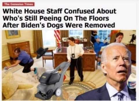 FB_IMG_1624477162197