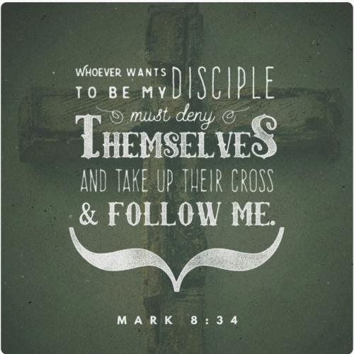 23:01:13 GMT-0400 (EDT).image