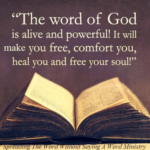 1978904_617452925020509_8007178372383407750_n