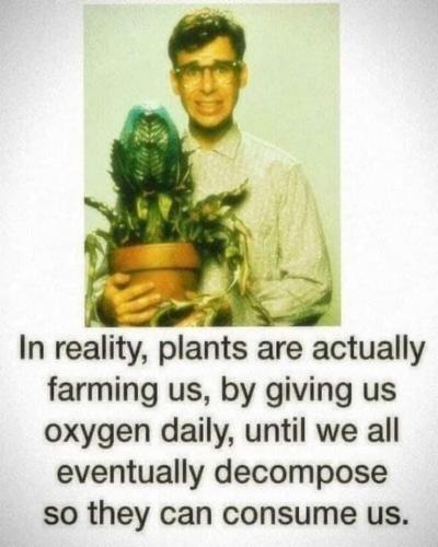 FB_IMG_1626234499164