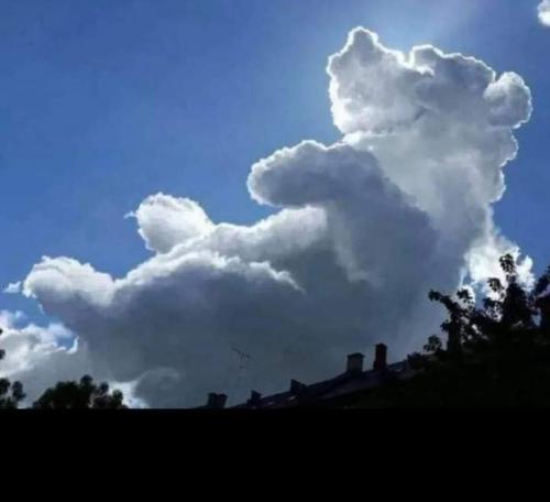 212876435_567529371074327_8462586508149032502_n