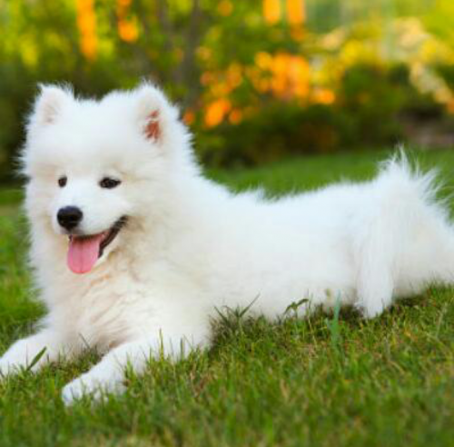 20:36:07 GMT+0100 (WAT).png