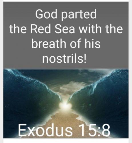 Screenshot_20210708-081855_MeWe