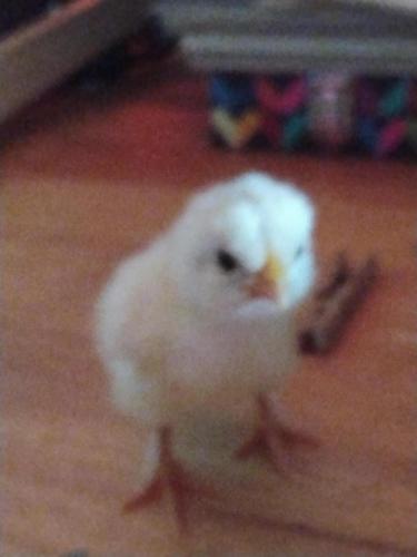 IMG_20210723_123059715