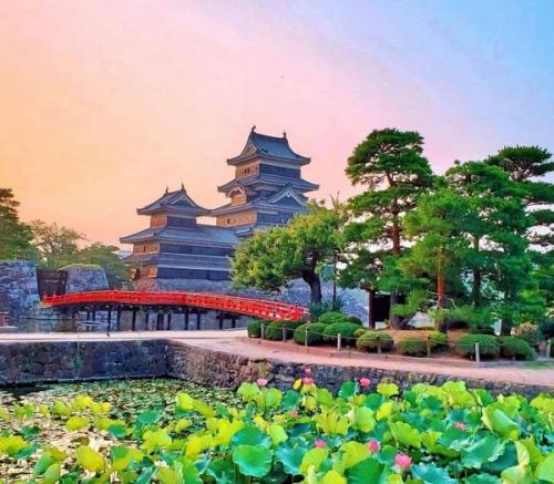 220096737_367010744794934_4676524077689979923_n