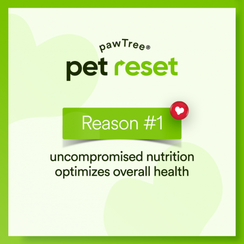 Pet Reset Reason1