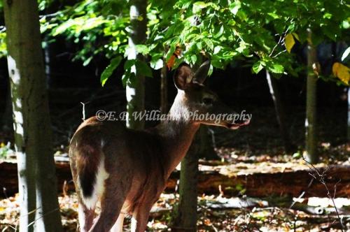 69937665_1828276383982587_7767171565648609280_n_1828276380649254