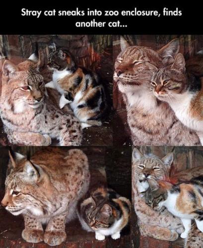 17:52:38 GMT-0700 (MST)