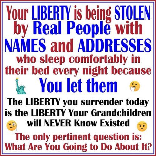 liberty-stolen