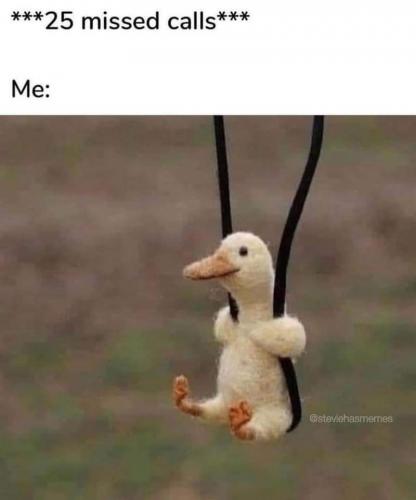 FB_IMG_1626576935733