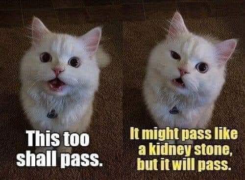 FB_IMG_1627326890471