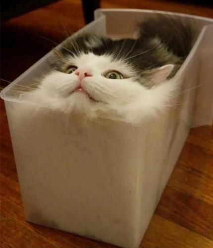 Screenshot_20210703-081701