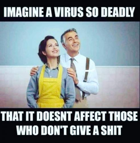 imagine a virus