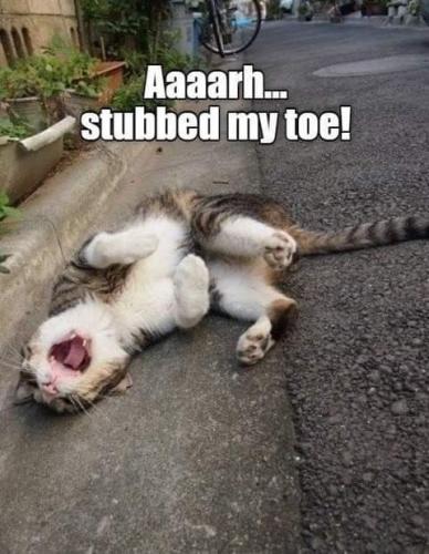 FB_IMG_1626408790308