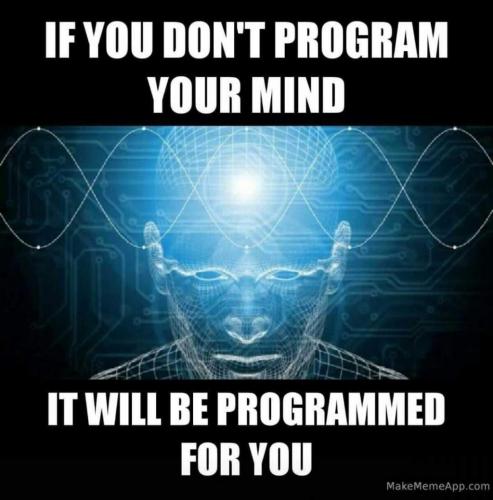 97182951_10157603302218842_6525384340124205056_n