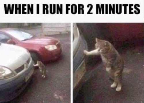 FB_IMG_1626151732194