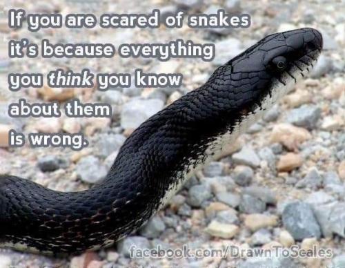 FB_IMG_1626188324192