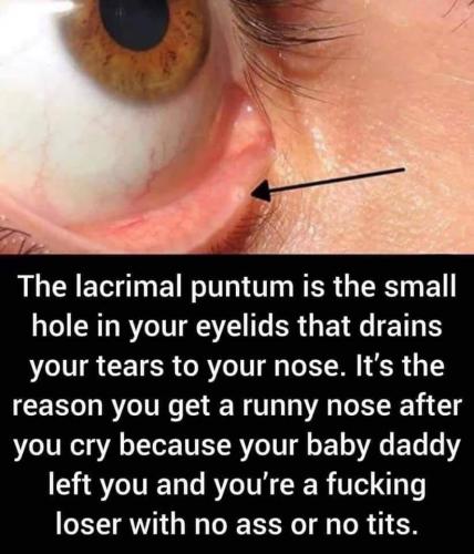 20:34:17 GMT-0500 (CDT)