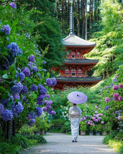 213942030_959723054812585_8927676790066463578_n