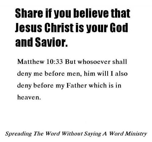 972290_440879399344530_566378748_n