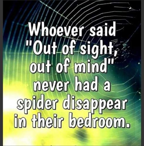 FB_IMG_1627662083967