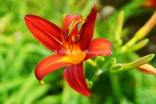 71944050_1828276653982560_3918559763792658432_n_1828276650649227