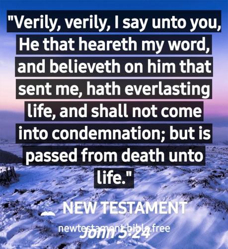 Screenshot_20210703-112911_New Testament Bible free
