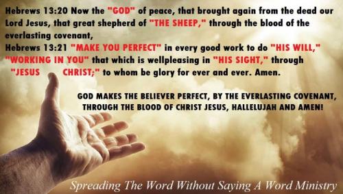 214801979_335778678197103_6284629991423125704_n