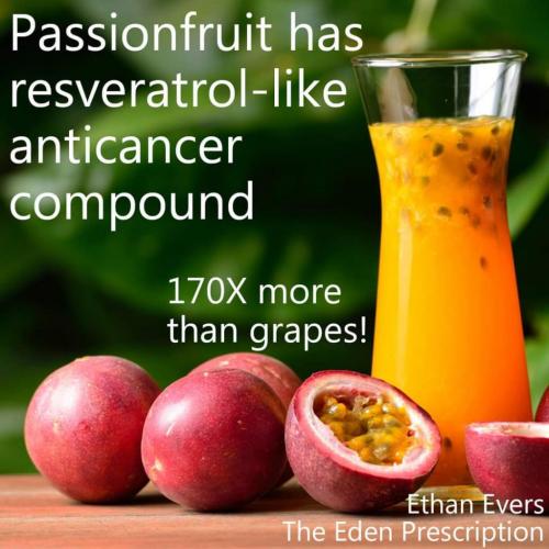 08:10:51 GMT-0600 (MDT)