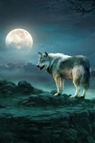 20:52:15 GMT-0500 (CDT)