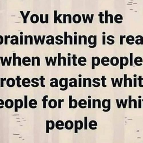 217772824_4127382937329340_4926735353227937578_n