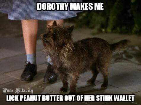 18:54:15 GMT-0500 (CDT)