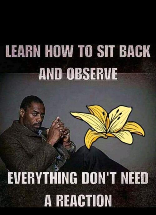 FB_IMG_1621726295818