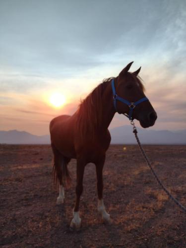 IMG_20210707_191336622