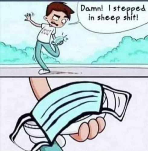 11:52:58 GMT+1200 (NZST).image