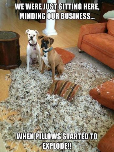 17:54:50 GMT-0700 (MST)