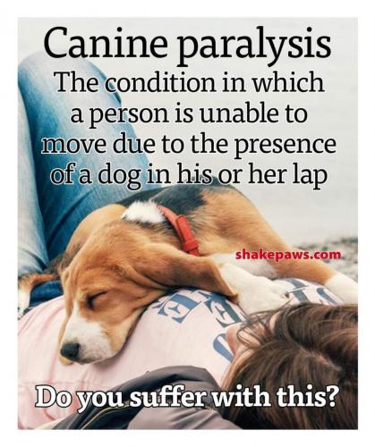 FB_IMG_1627390087067