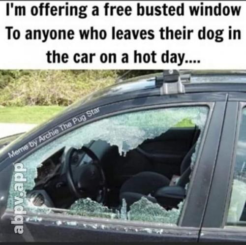 FB_IMG_1622904223167