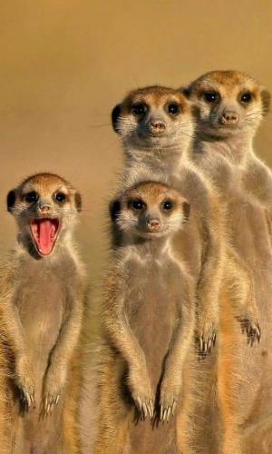 FB_IMG_1625803100357