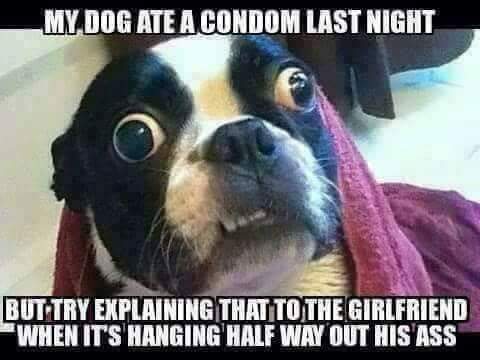 FB_IMG_1626490377464