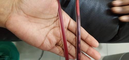 WhatsApp Image 2021-04-08 at 7.34.19 AM