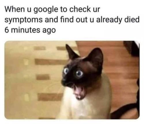 20:29:07 GMT-0400 (EDT)