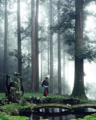 214851379_362388965257112_635356879299067914_n